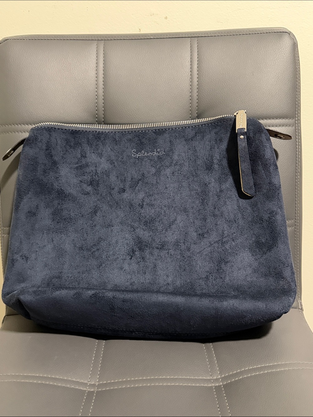 Splendid Suede Pouch/Clutch